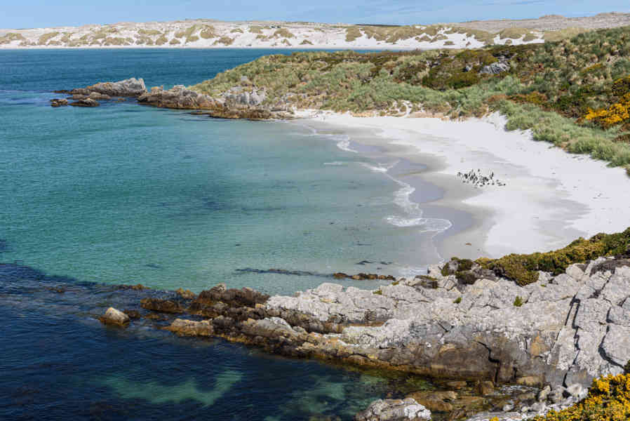 Islas Falkland o Malvinas 049 - Yorke Bay.jpg